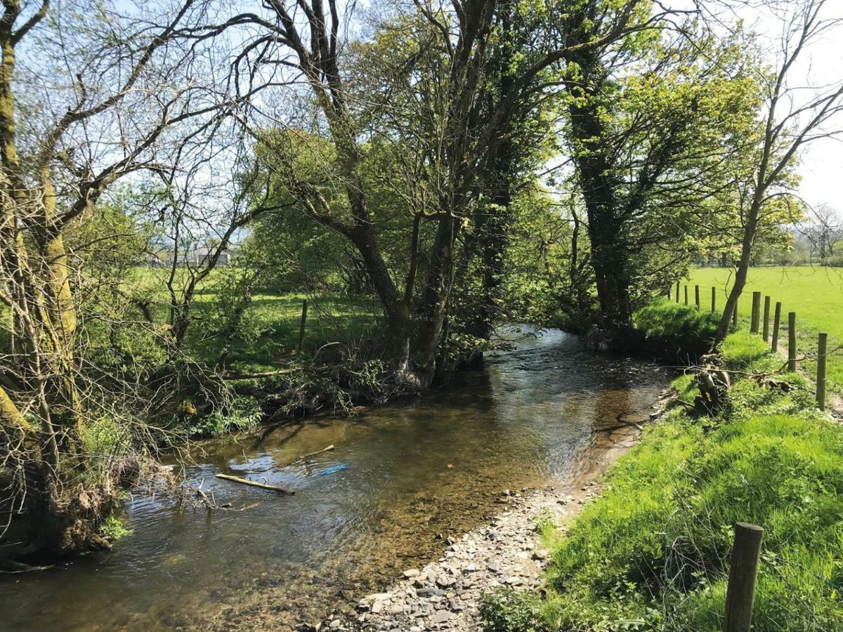 Llanybyther Maesyfelin Isaf B&B מראה חיצוני תמונה