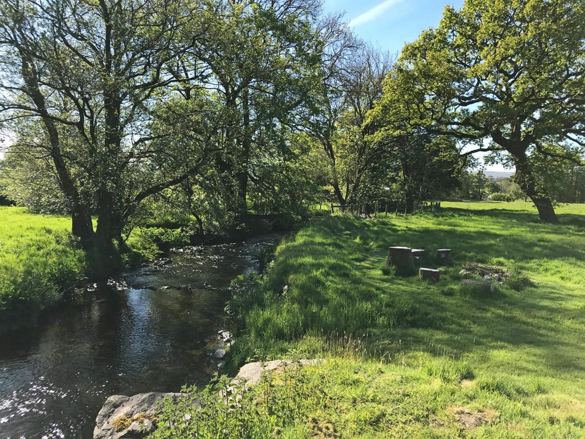 Llanybyther Maesyfelin Isaf B&B מראה חיצוני תמונה