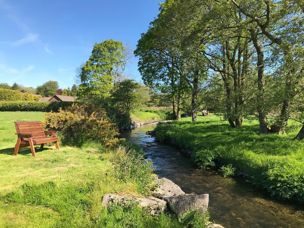 Llanybyther Maesyfelin Isaf B&B מראה חיצוני תמונה